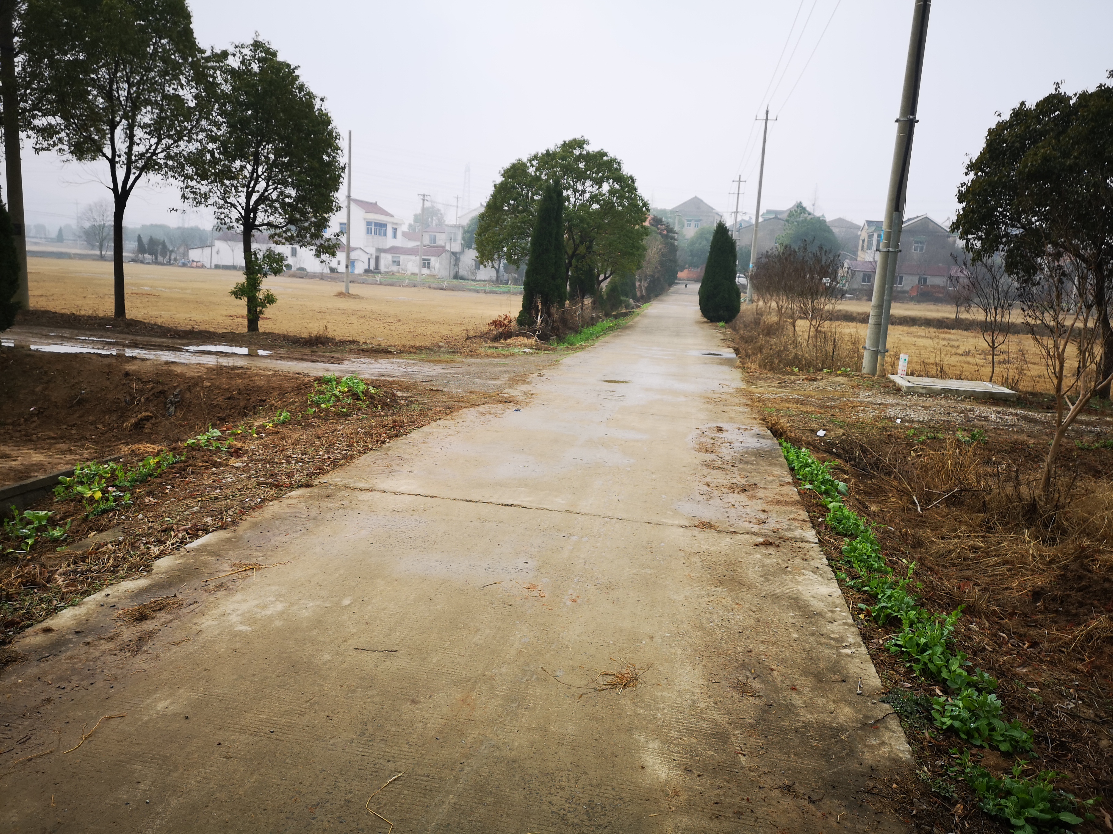 顺茵农场南京分公司图片