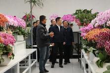 中国花卉协会家庭园艺分会筹备会顺利召开