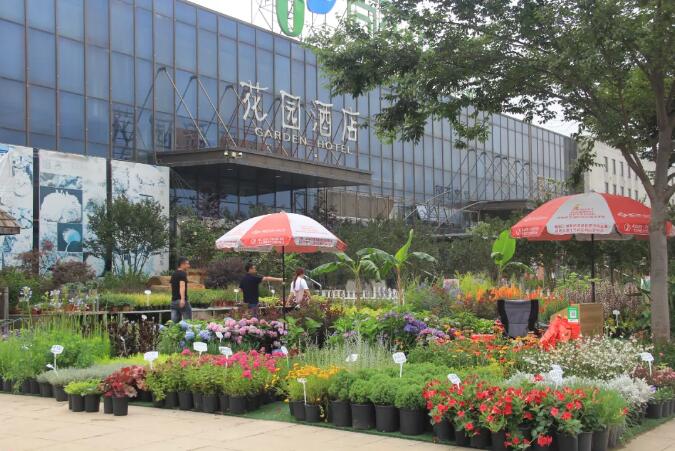 行业观察：“地摊经济”对于花木企业而言，可以做些什么？