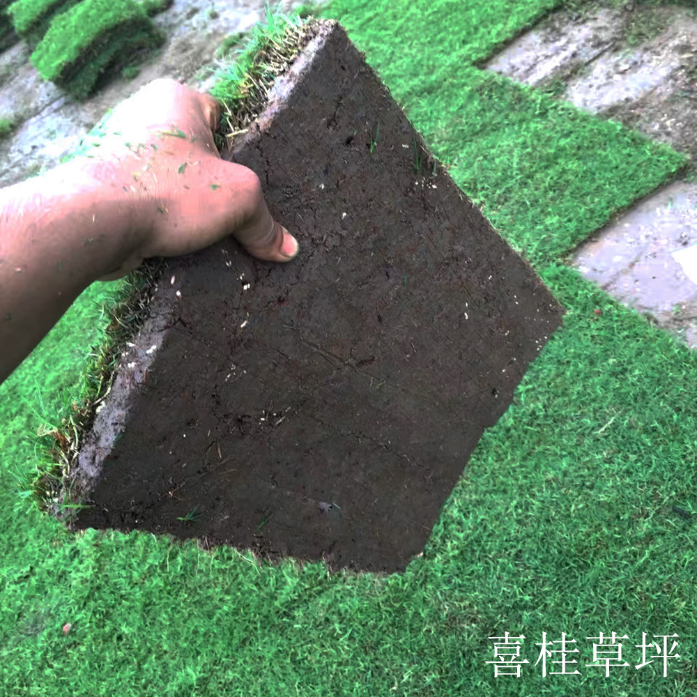 百慕大图片