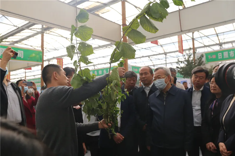 【行业动态】共探苗企“出海”机遇，突破式打造10大花园展区，这届苗木展上全是“干货”