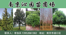 南京沁园苗圃场图片