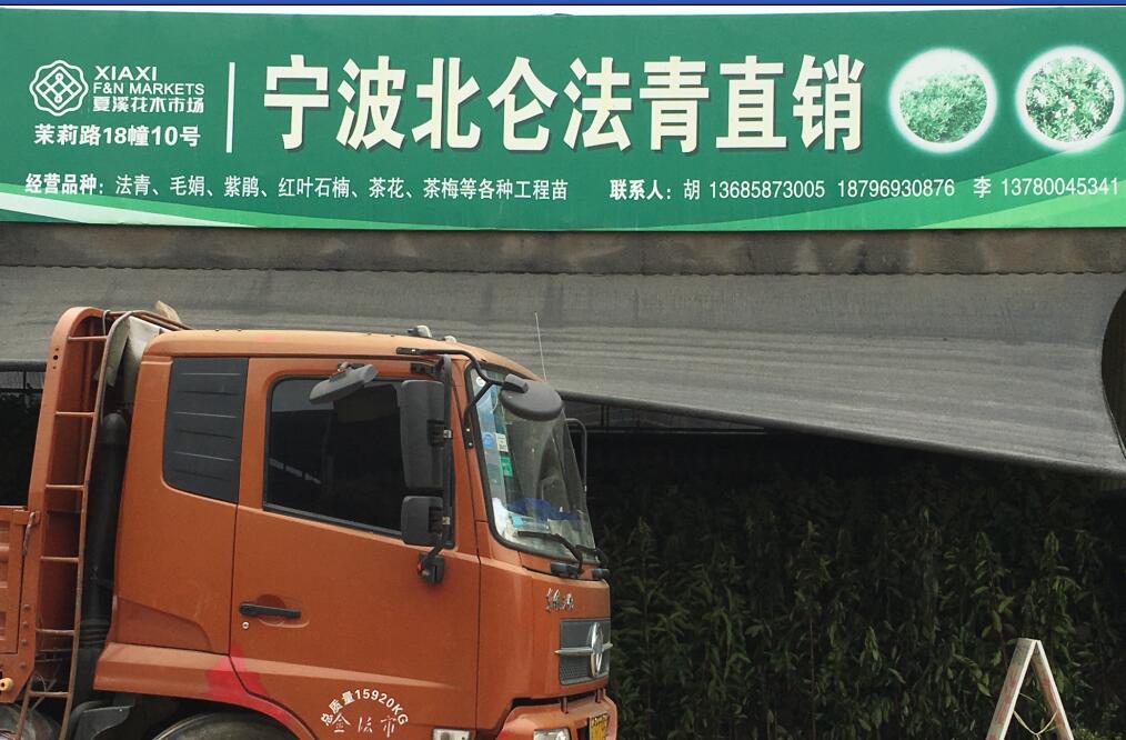 宁波北仑法青直销