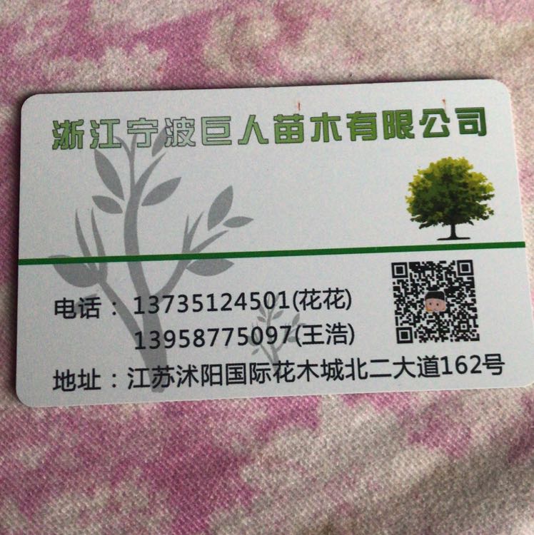 巨人苗木种植合作社图片