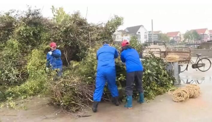 垃圾与园艺的“隔空握手”——理想与现实之间存在的问题