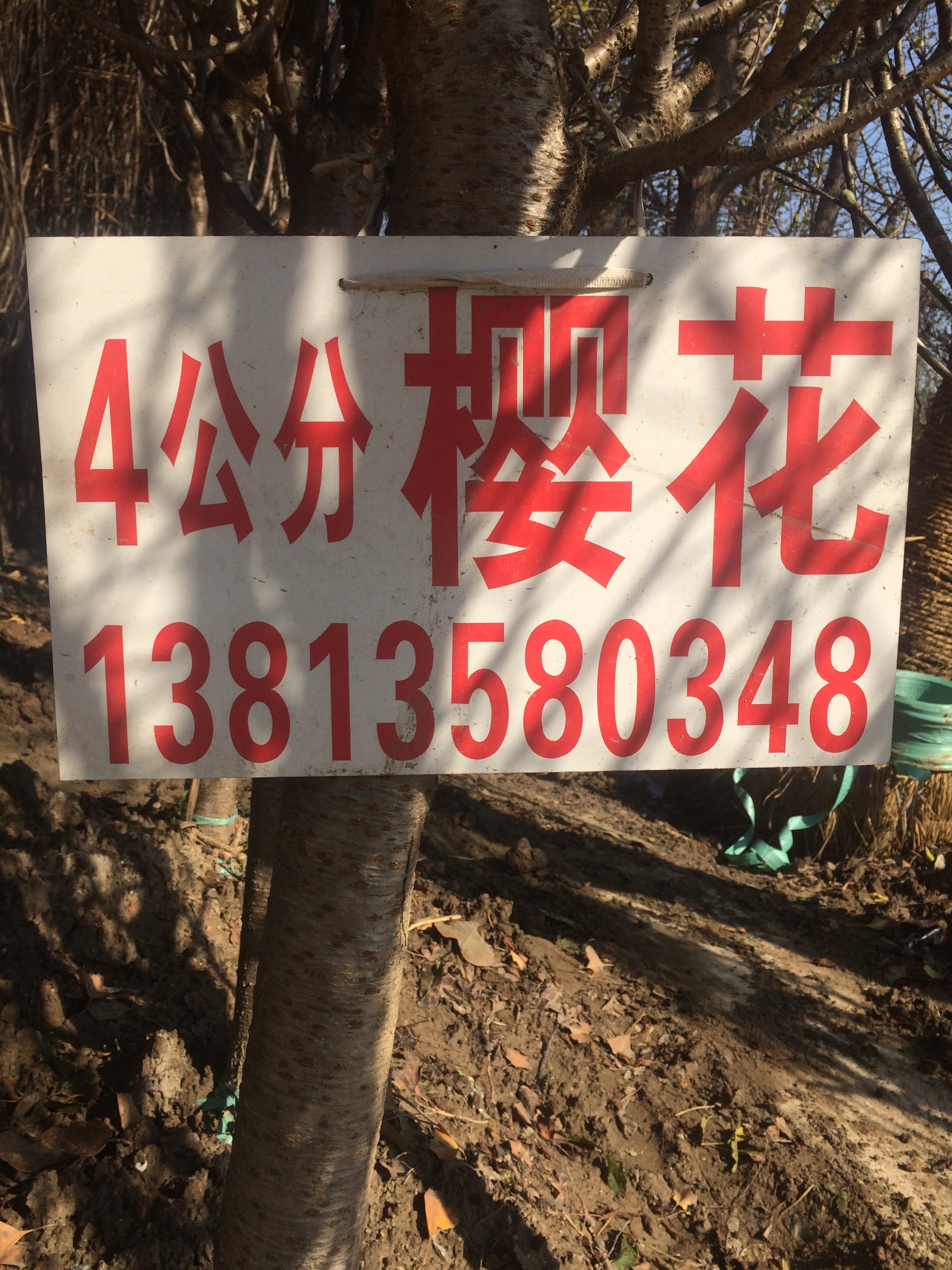 自产自销图片