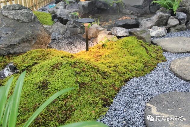 庭院设计：现代庭院个性铺装是怎样的，不如来这里看看