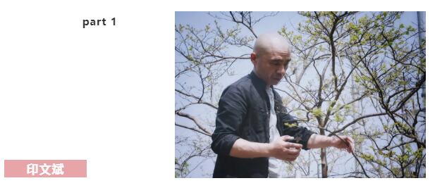 园艺嘉年华之后， 他们都在玩些什么？（一）
