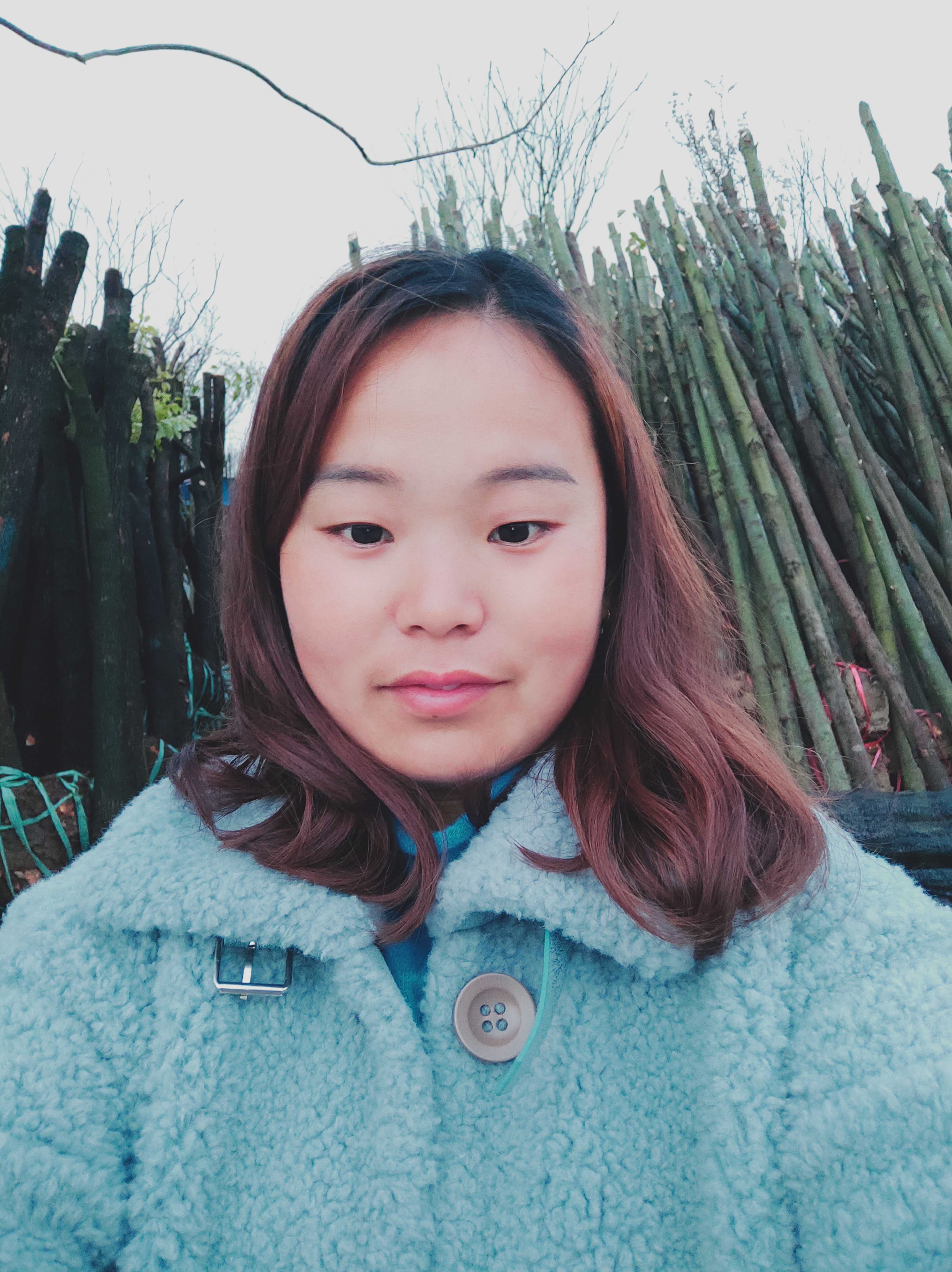 香樟图片