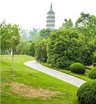 观赏苗木出圃的质量如何判定？园林苗木，其观赏价值也被作为质量评价指标