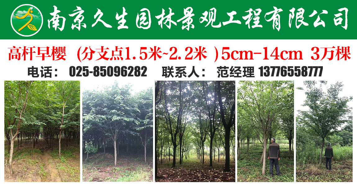 南京久生园林景观工程有限公司图片