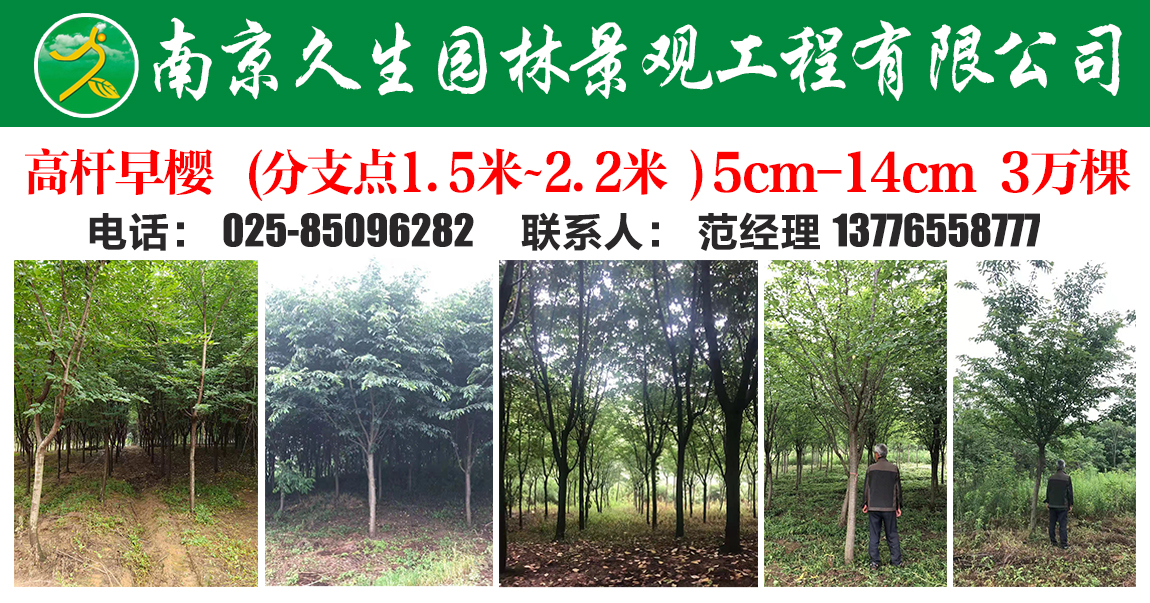 南京久生园林景观工程有限公司