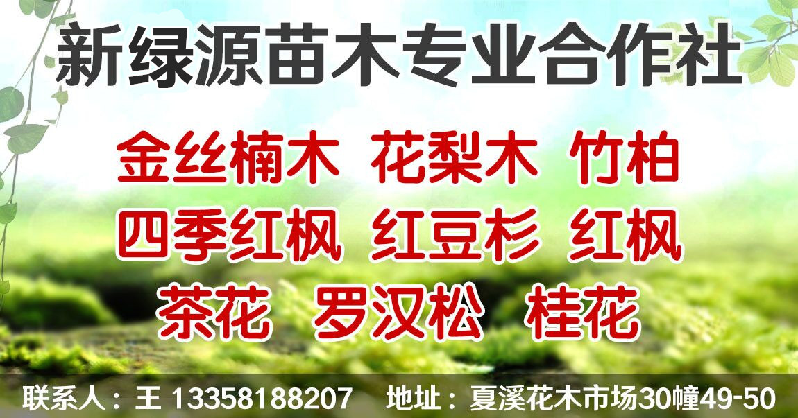 新绿源苗木专业合作社