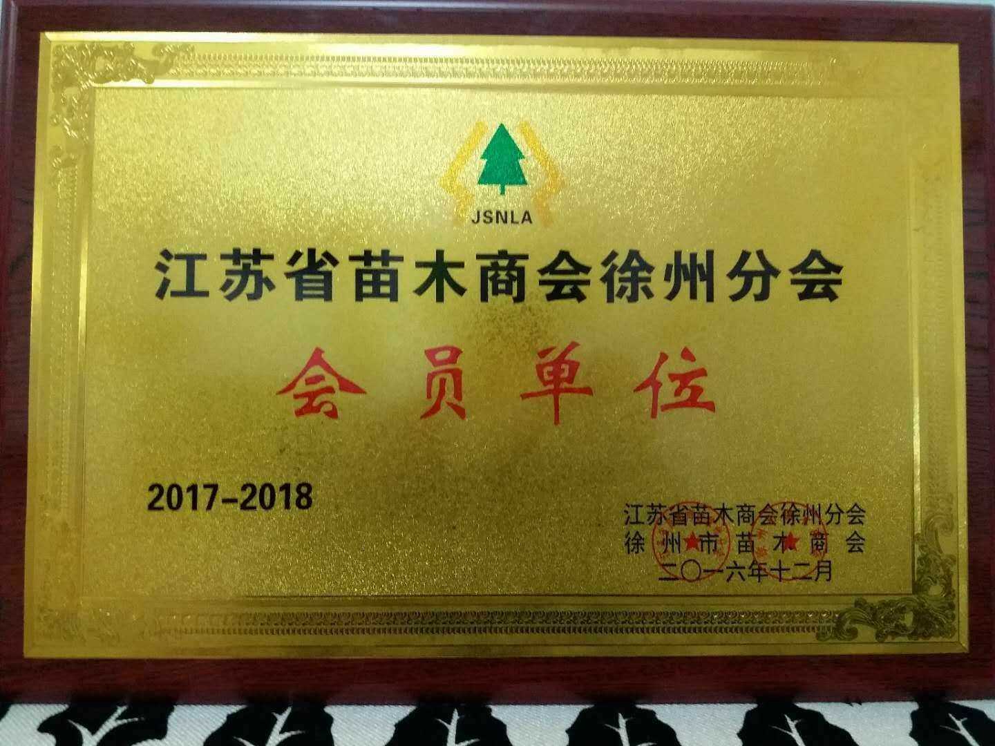 邳州市张辉银杏苗木合作社