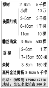 汤殿勤图片