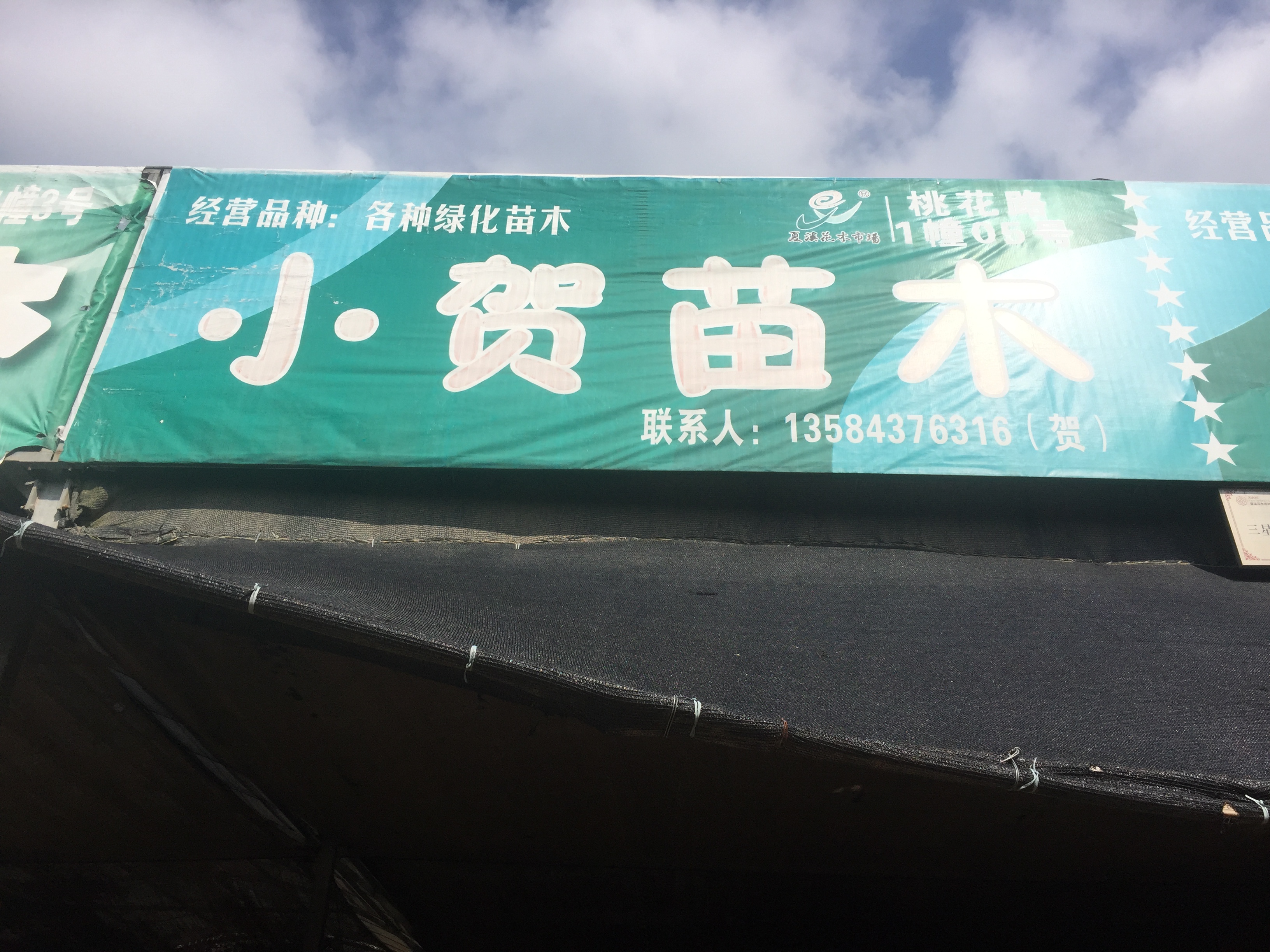 小贺苗木