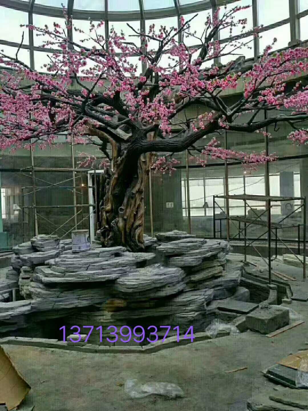 红叶石楠图片
