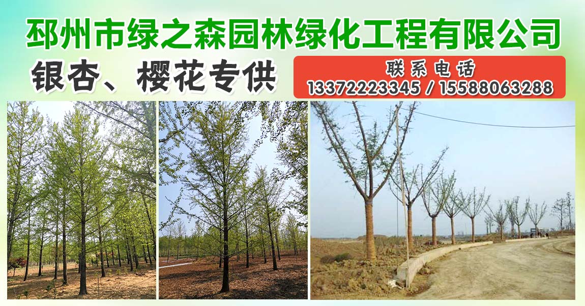 邳州市绿之森园林绿化工程有限公司