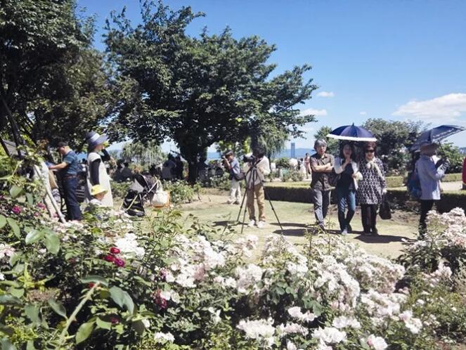 “城市园林”即指城市绿化，如何把把大地风景融入城市园林？