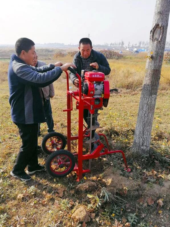 园林植物营养储存设施可改善植物的生长不良，让园林植物“壮”起来