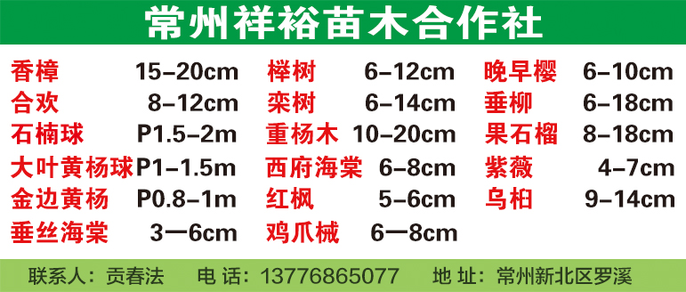 祥裕树木专业合作社