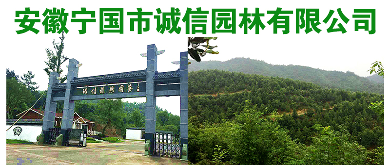 安徽宁国市诚信园林有限公司