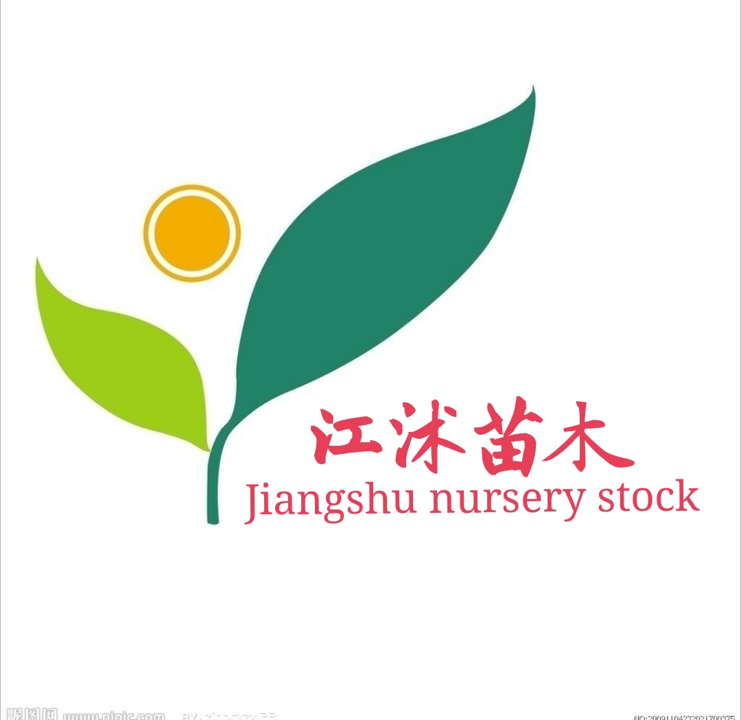 江沭苗木园艺场