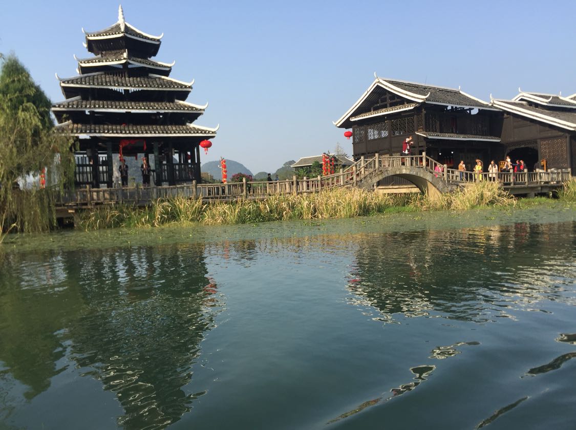 山东银杏基地