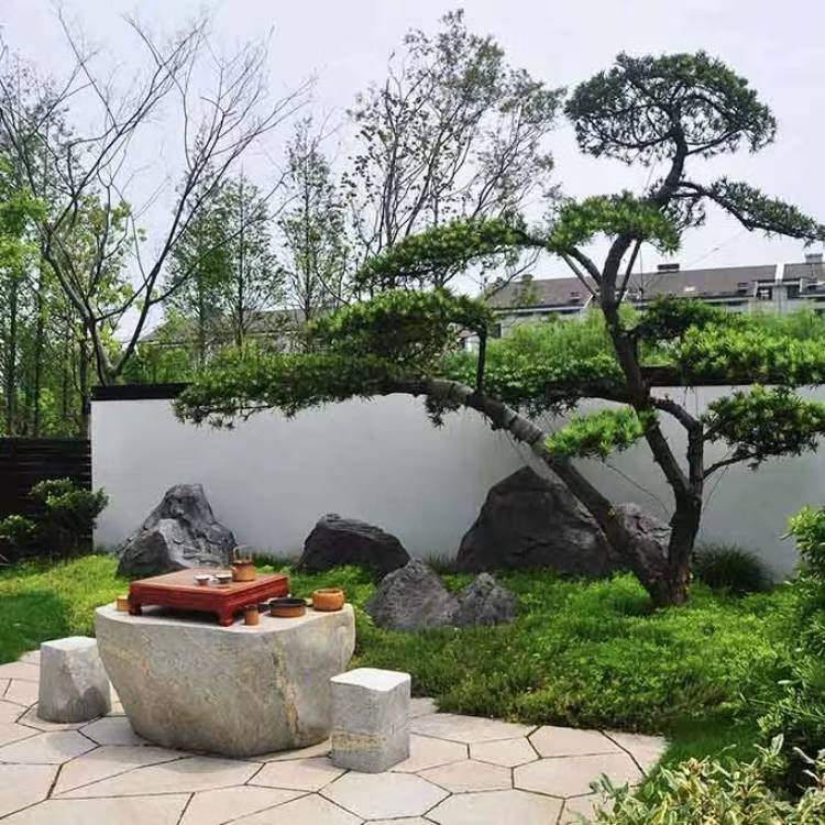 嘉兴市天美园林绿化工程有限公司图片