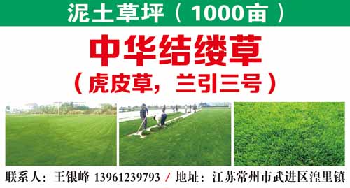 泥土草坪图片
