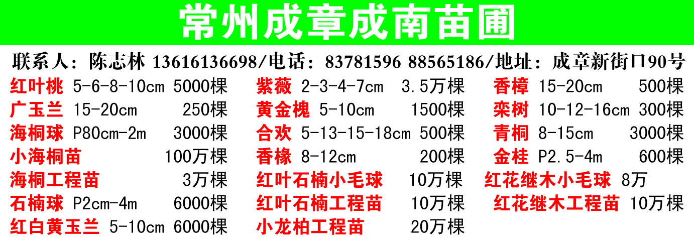 常州成章成南苗圃