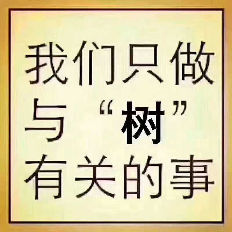 江苏兄弟苗木