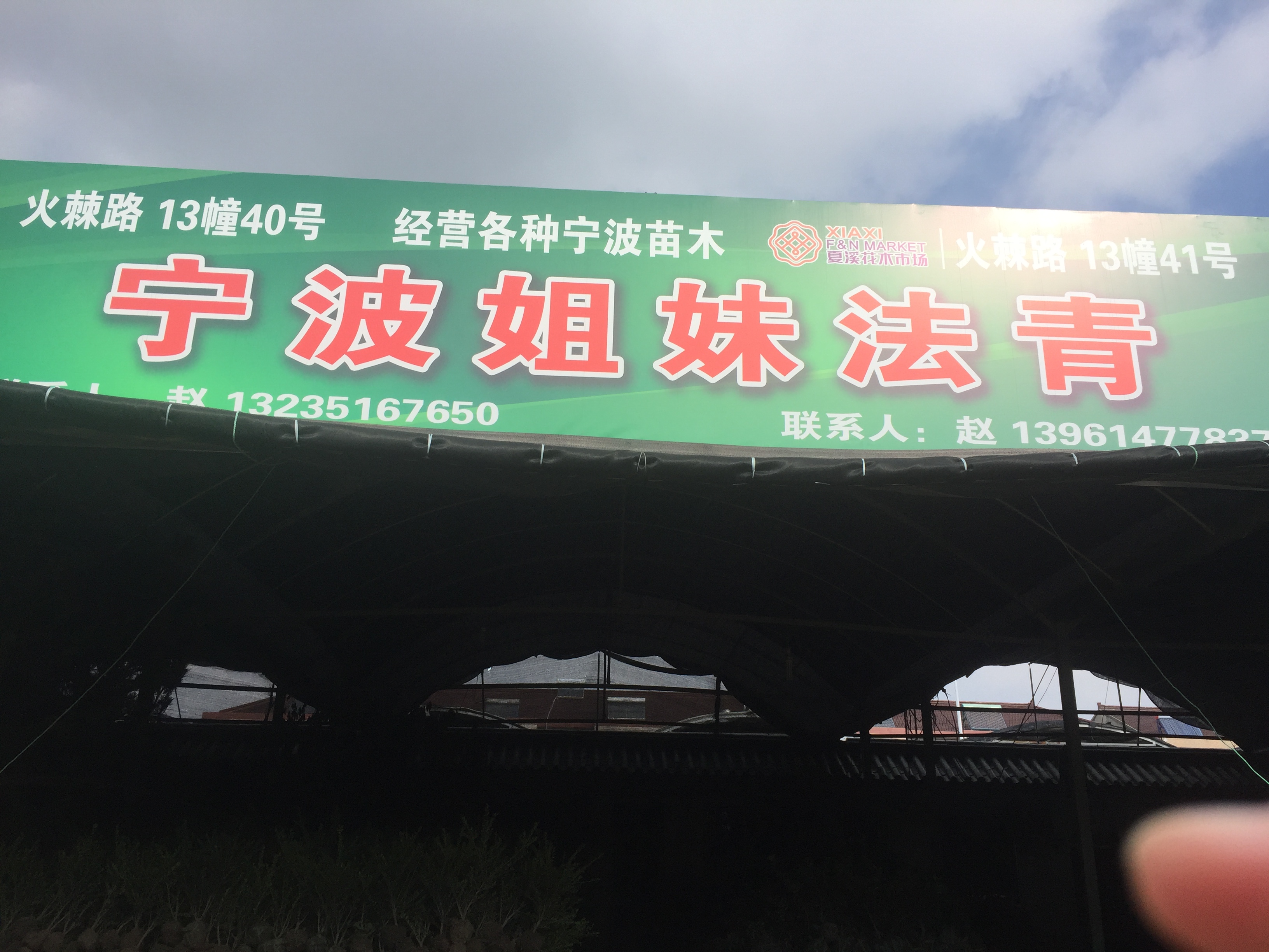 宁波姐妹法青