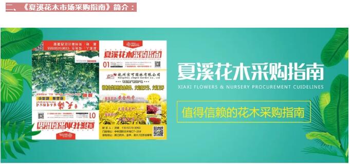 夏溪花木采购指南——畅通苗木交易各环节，为您投递到家！