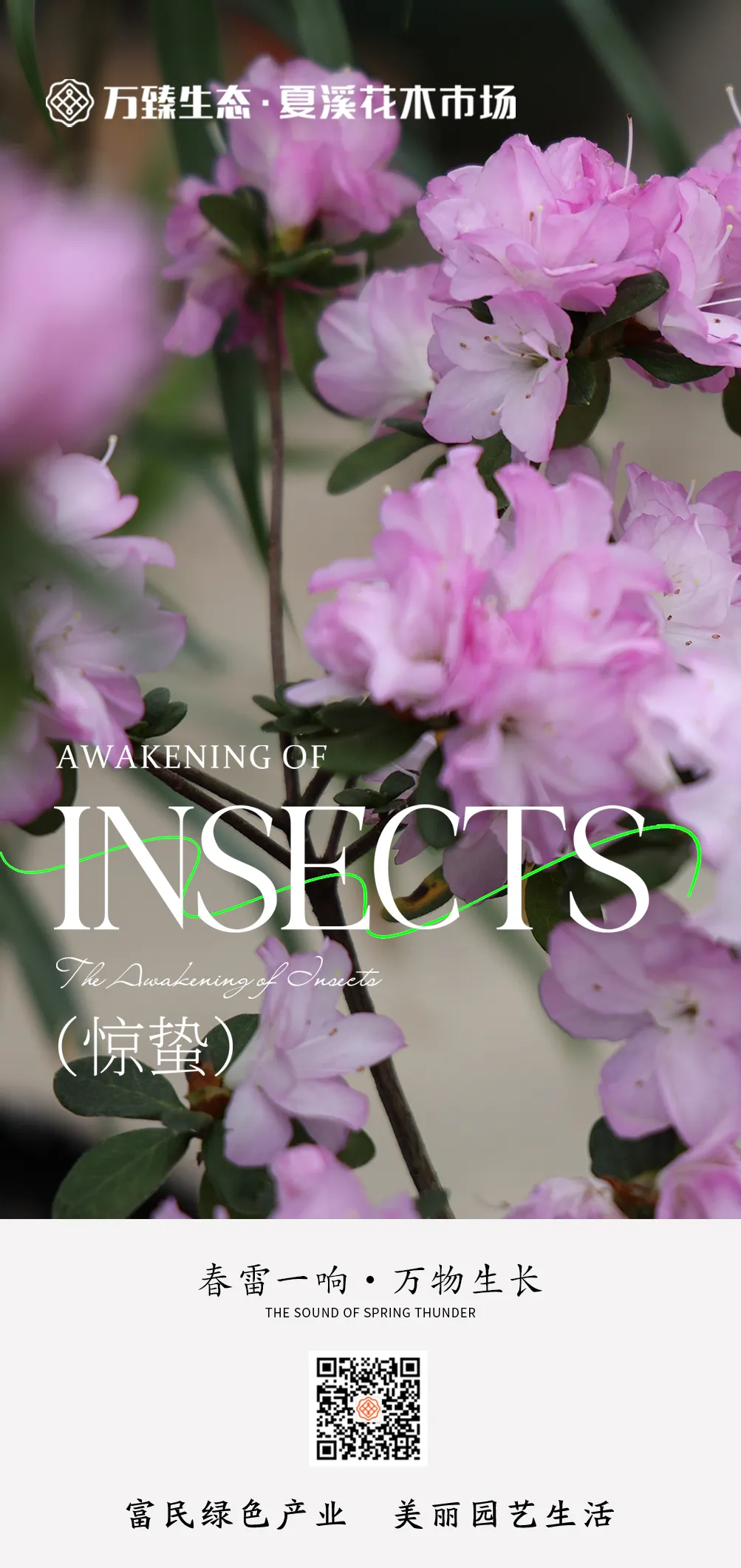 FlopCd57kAw1GuYRsj_qv9lsZGVY