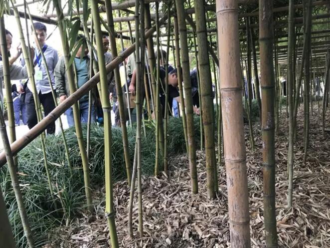  新常态下，城市园林绿化行业面临着新的挑战，新时期园林绿化的重点是什么？