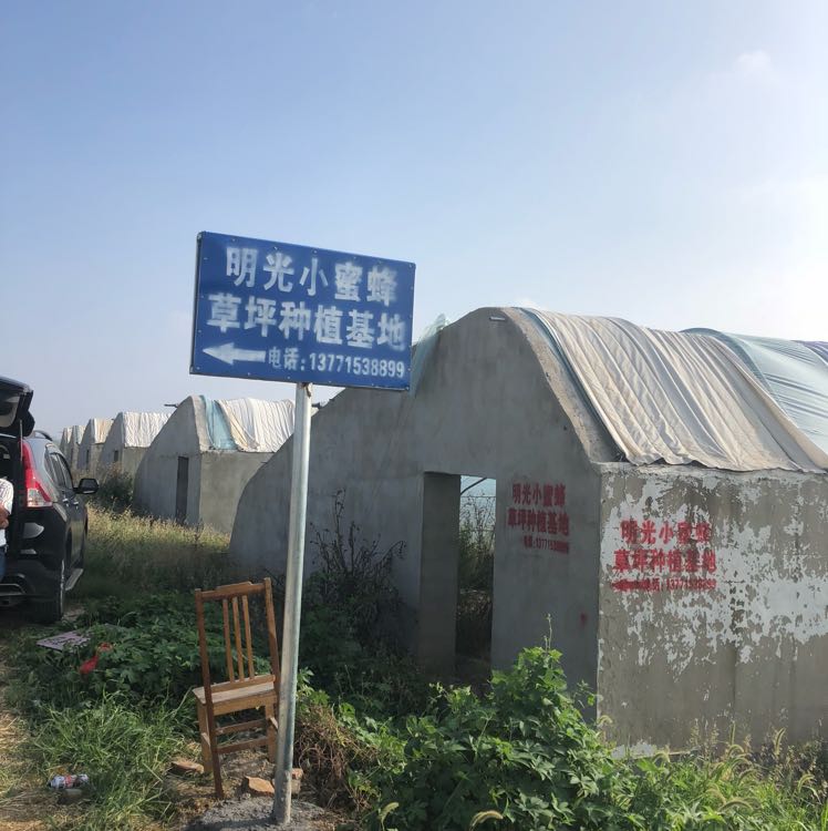 百慕大图片