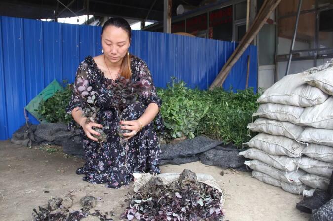 出彩夏溪人：王晨玲——用做人的态度做生意