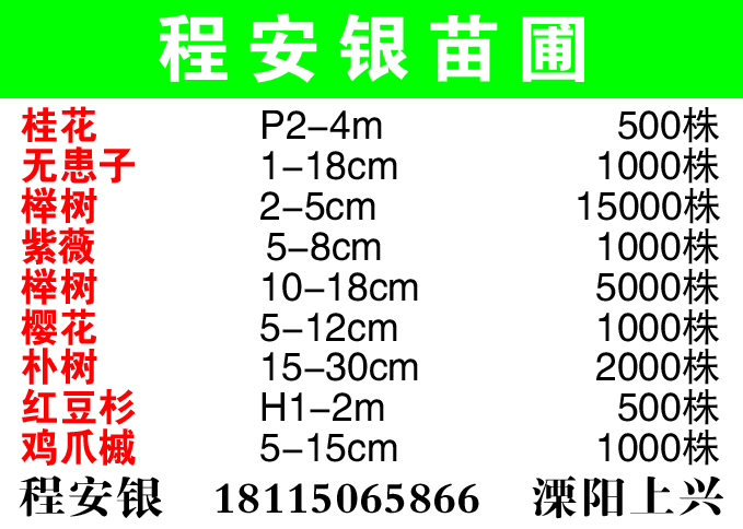 程安银苗圃