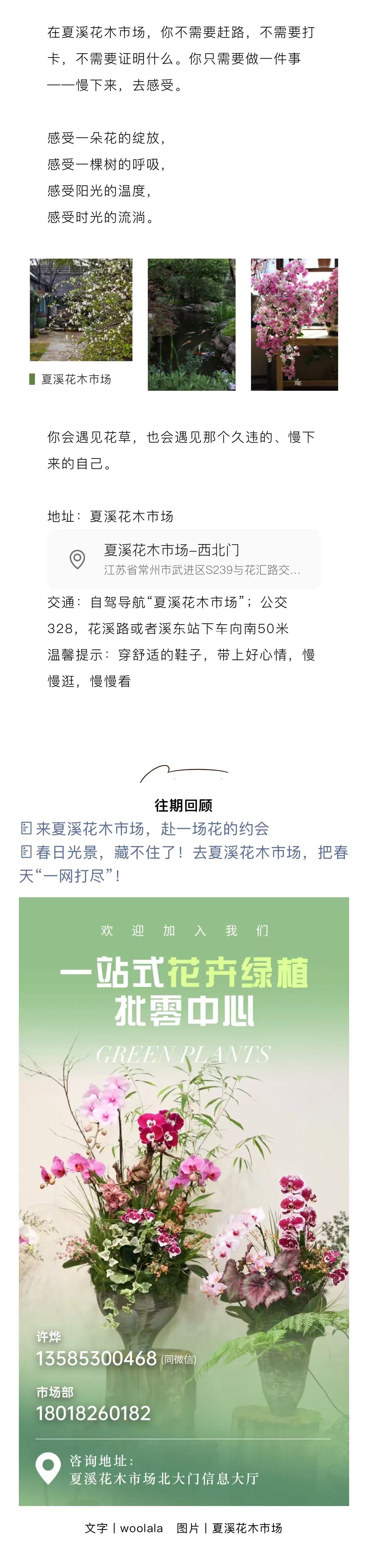 Fm3zqE4wtD4ez2OsNqhtZc7o2_Vw