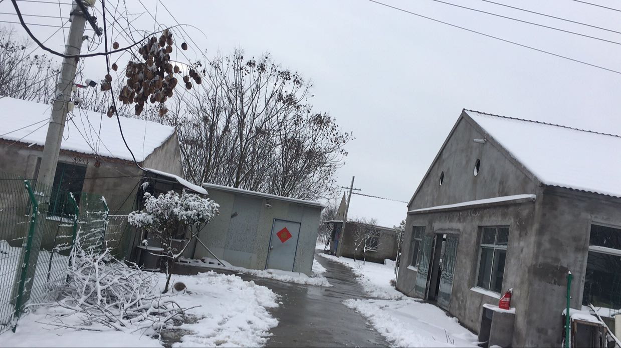 绿家康苗圃图片