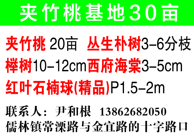 夹竹桃基地30亩