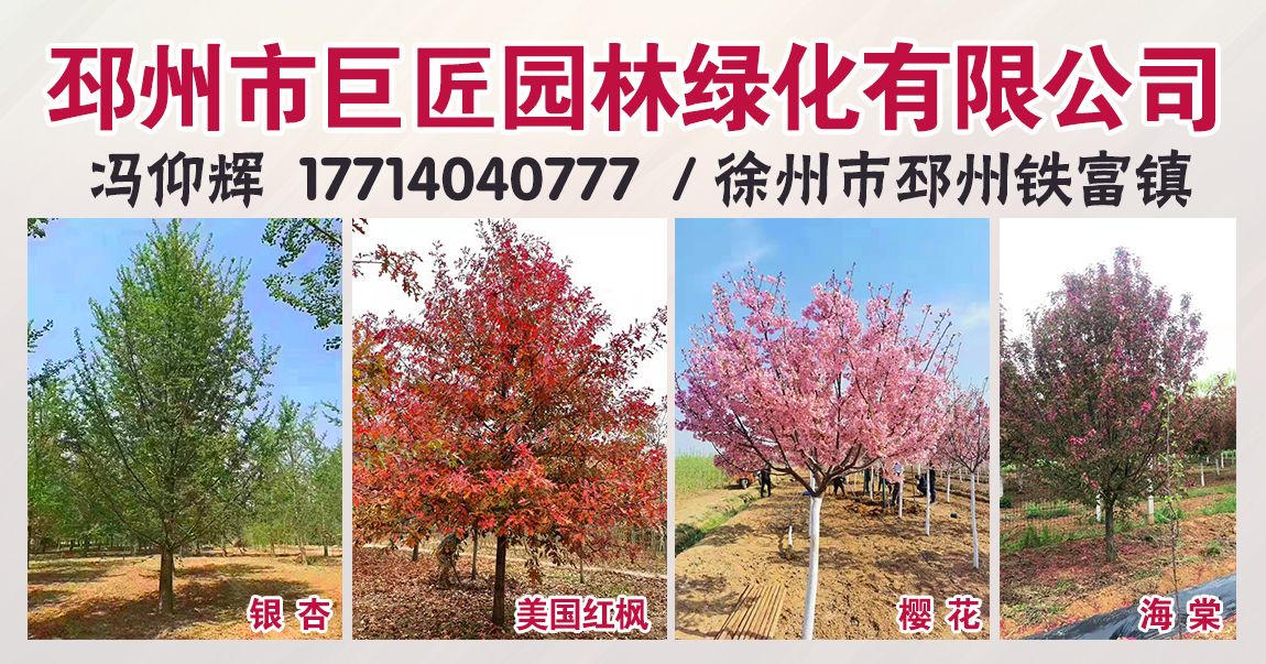 邳州市巨匠园林绿化有限公司图片