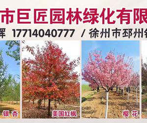 邳州市巨匠园林绿化有限公司