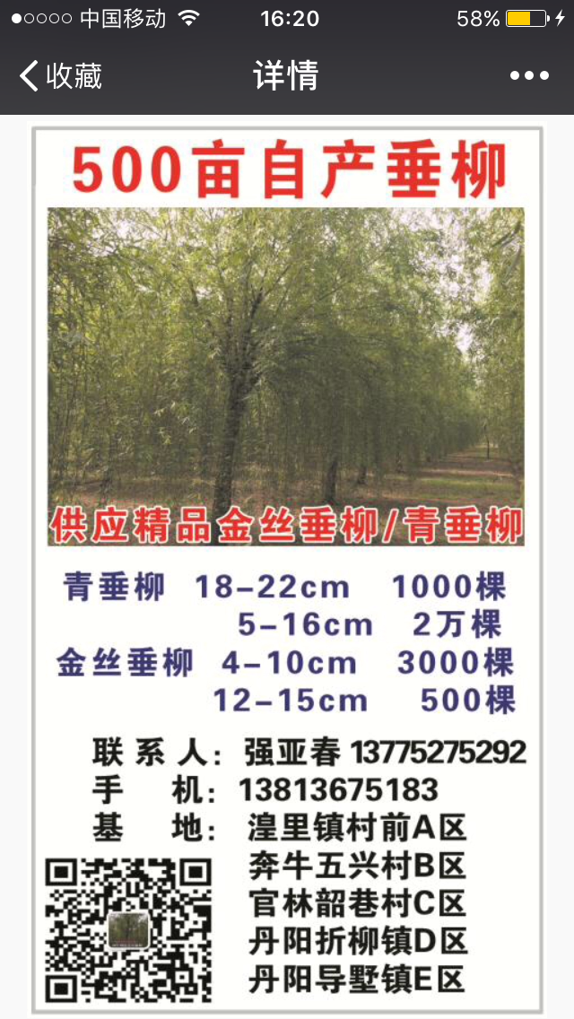 500亩自产垂柳