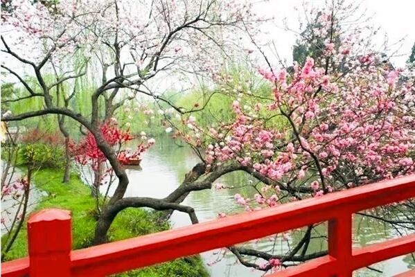 ​绿量是城市林地生态功能的基础，在有限土地上，这样才能有效提高城市绿量！