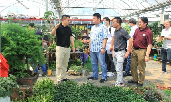 中山市农业农村局领导一行前来参观调研夏溪花木市场