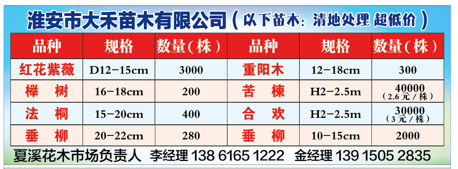 淮安大禾苗木有限公司