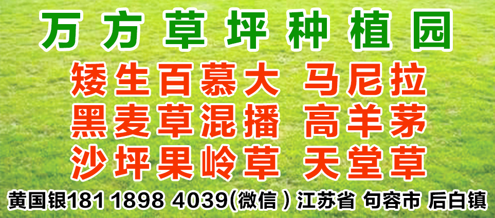 句容市万方草坪基地
