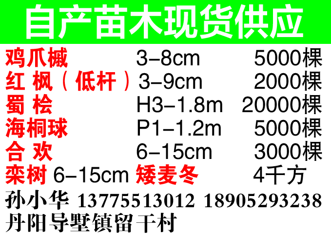 自产苗木现货销售